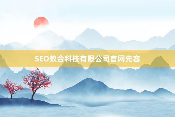SEO蚁合科技有限公司官网先容